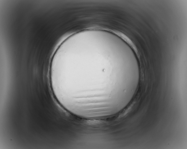 X0000086230863200704191758