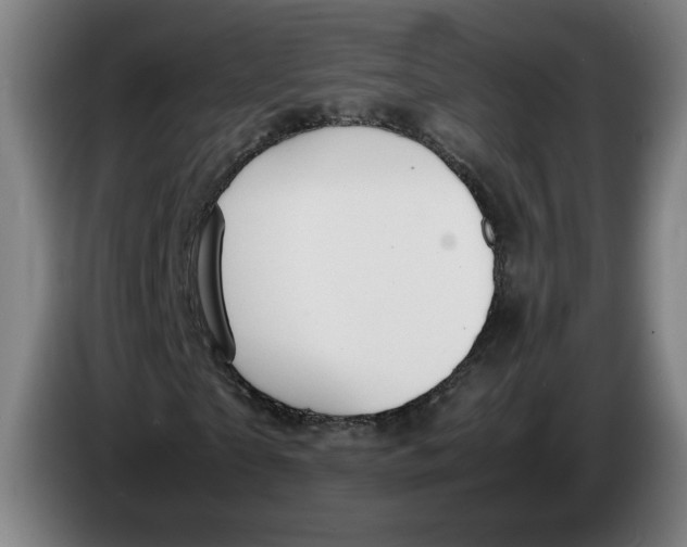 X0000086230865200704191757