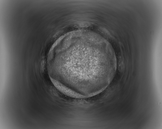 X0000086230866200704191757