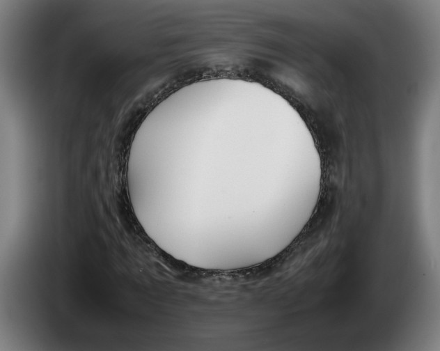 X0000086230869200704191757