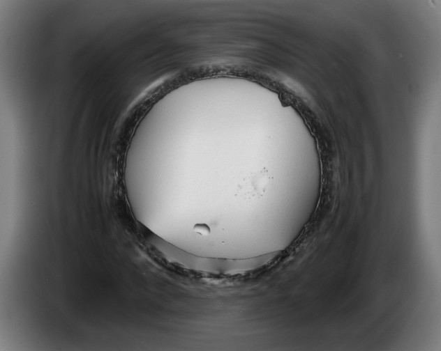 X0000086230872200704191757