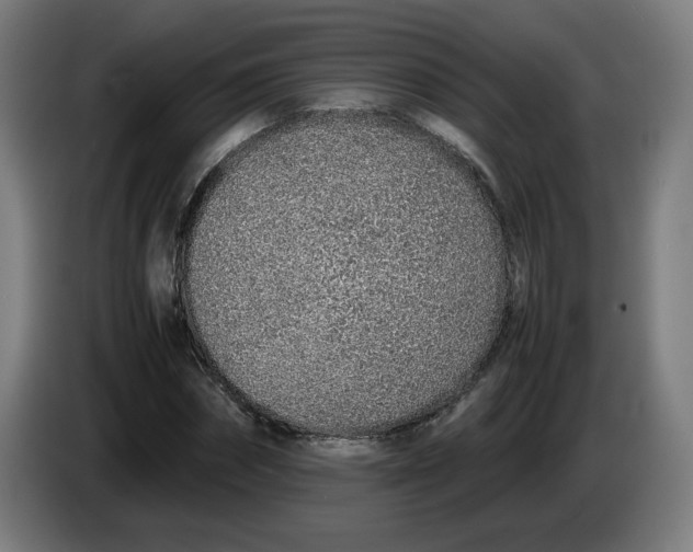 X0000086230874200704191757