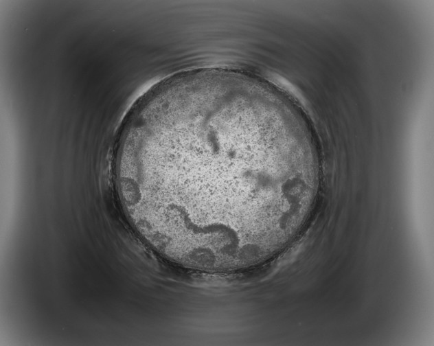 X0000086230875200704191757