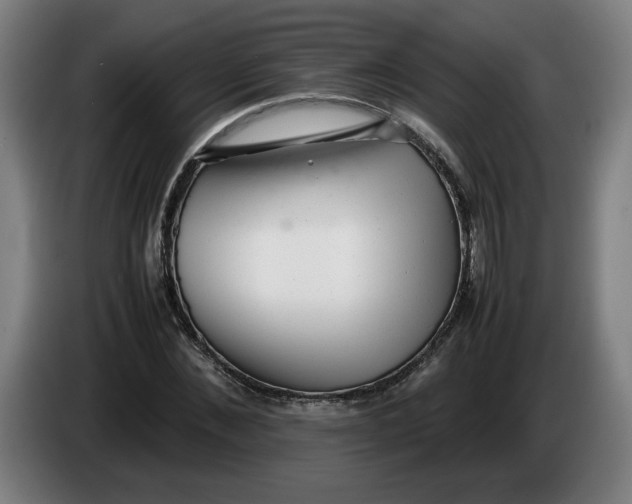 X0000086230876200704191757