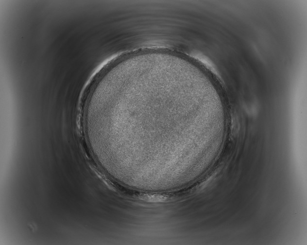 X0000086230878200704191757