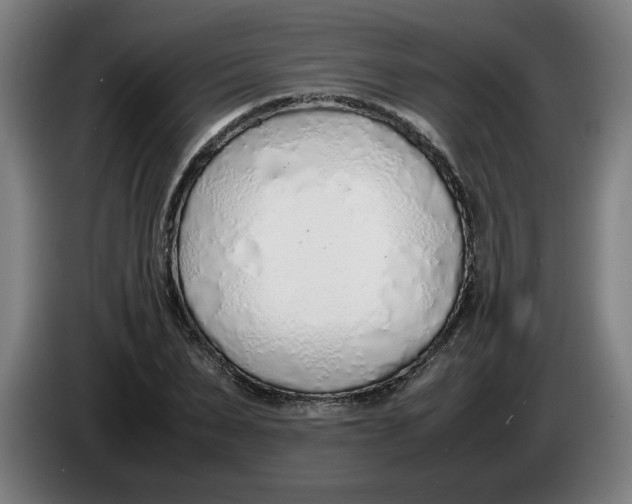 X0000086230879200704191757