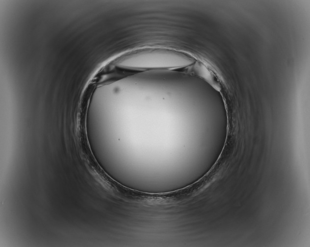 X0000086230880200704191757