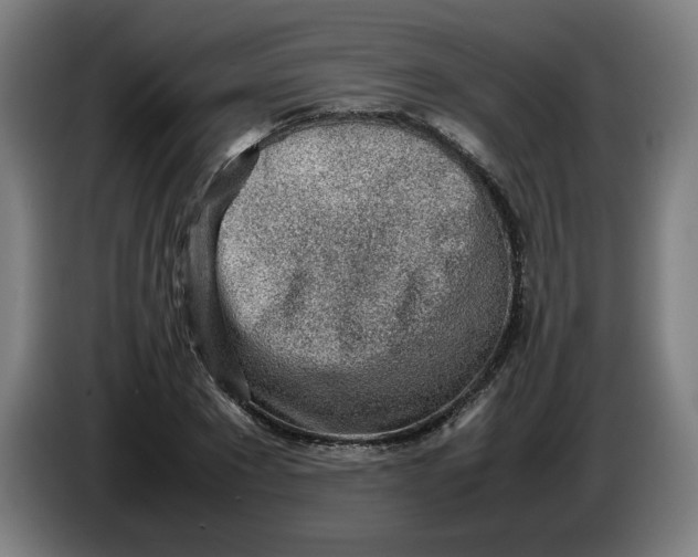 X0000086230881200704191757