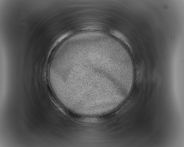 X0000086230882200704191757