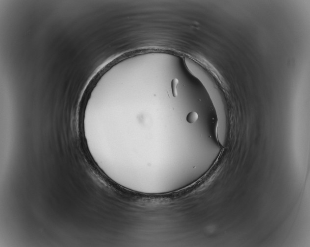 X0000086230884200704191757