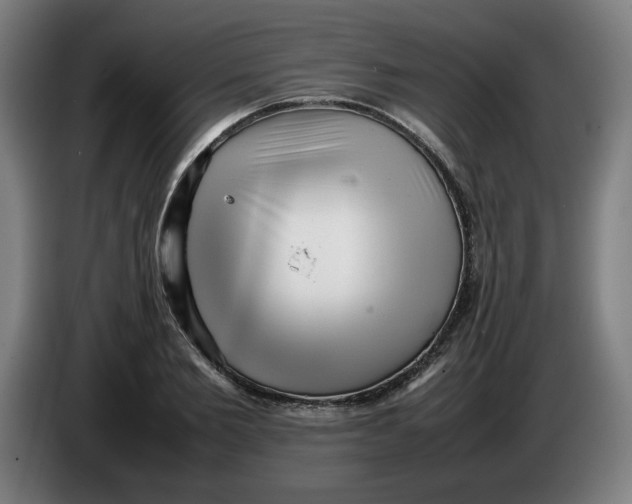 X0000086230885200704191757