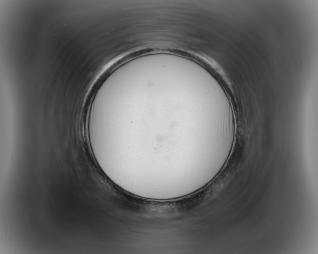 X0000086230887200704191757