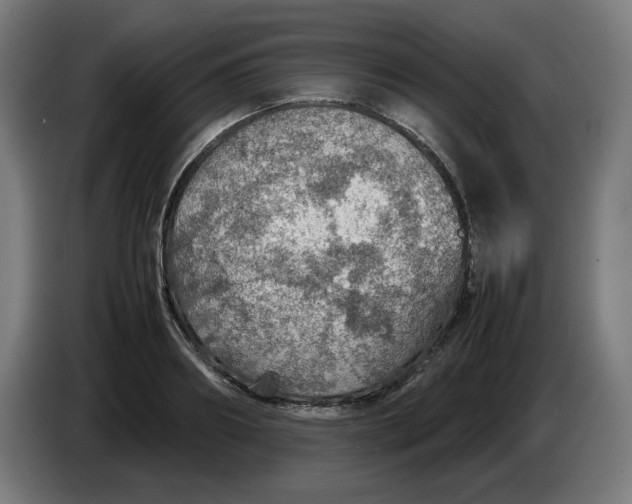 X0000086230890200704191757