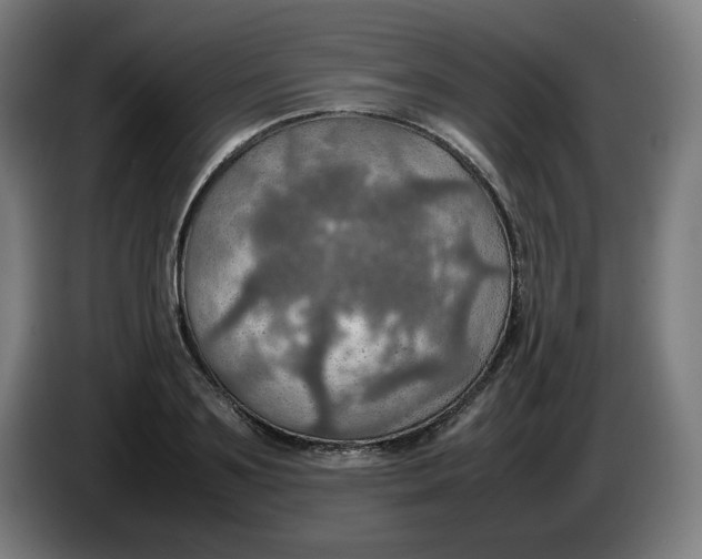 X0000086230891200704191757