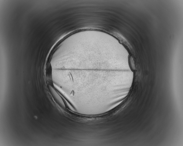 X0000086230892200704191757