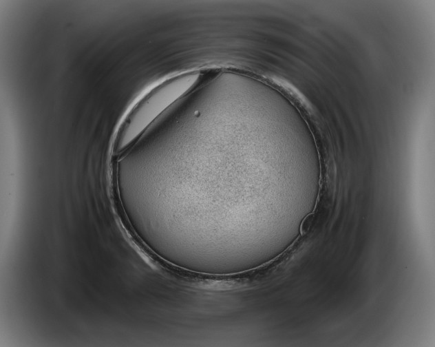 X0000086230894200704191757