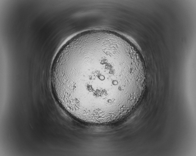 X0000086230895200704191757