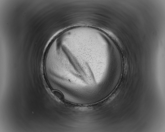 X0000086230896200704191757