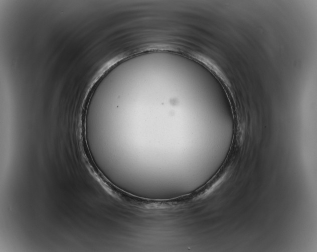 X0000086230898200704191757