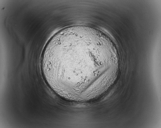 X0000086230899200704191757