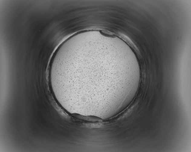 X0000086230900200704191757