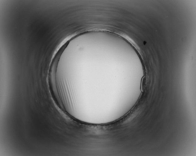 X0000086230901200704191757