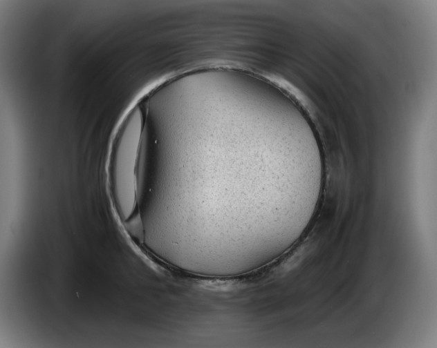 X0000086230902200704191757