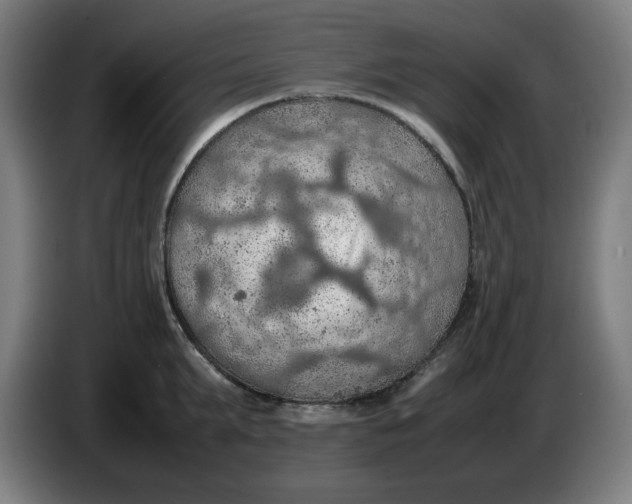 X0000086230903200704191757