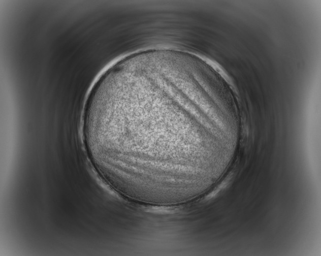 X0000086230904200704191757