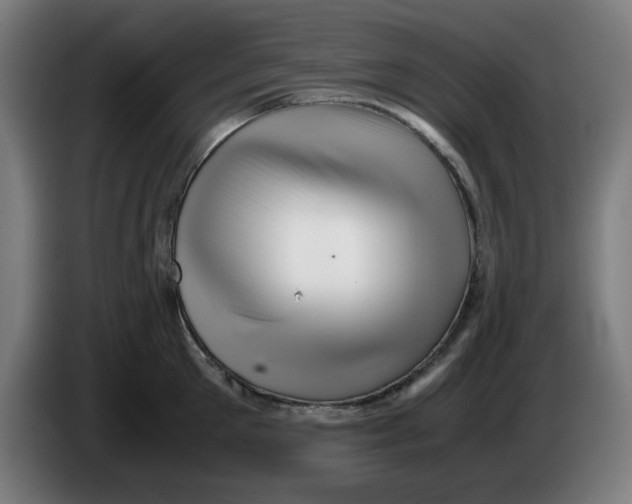 X0000086230905200704191757