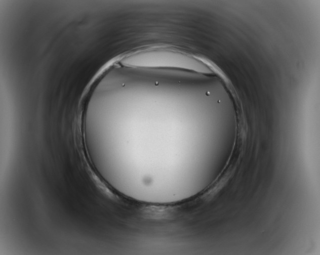 X0000086230910200704191757