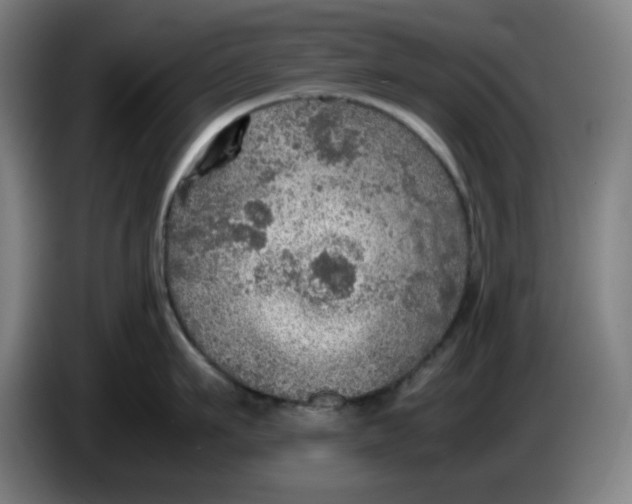 X0000086230911200704191757