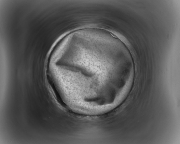 X0000086230912200704191757