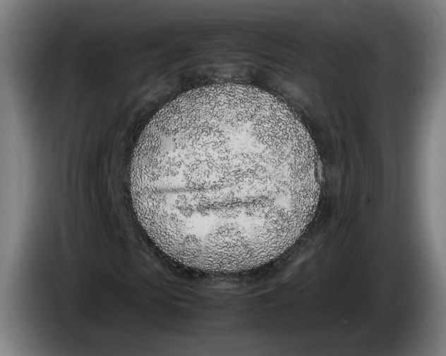 X0000086230913200704191756