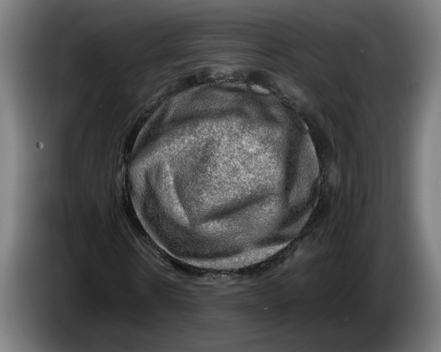 X0000086230914200704191756