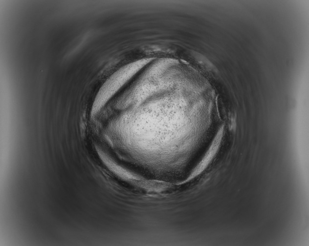 X0000086230915200704191756