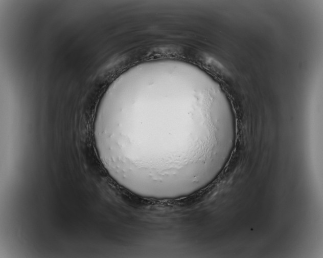 X0000086230917200704191756