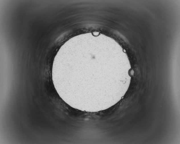 X0000086230918200704191756