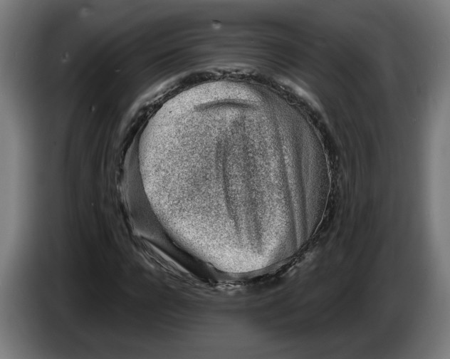 X0000086230920200704191756