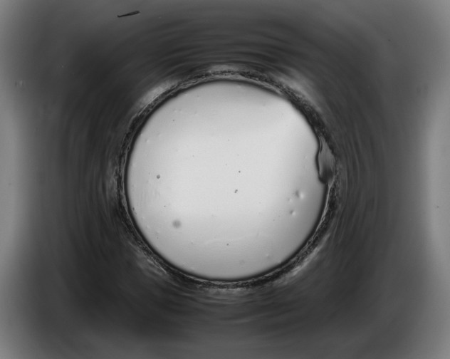 X0000086230921200704191756