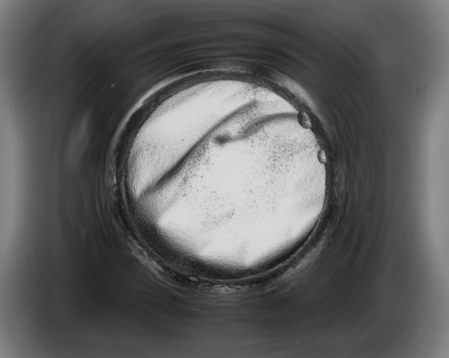 X0000086230923200704191756