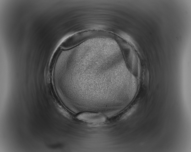 X0000086230924200704191756