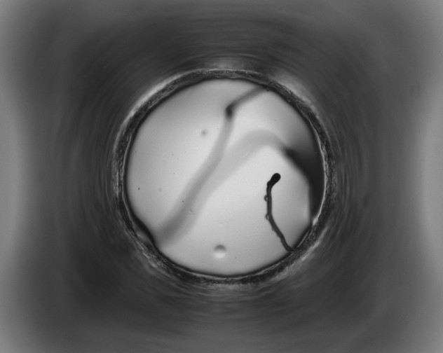 X0000086230925200704191756