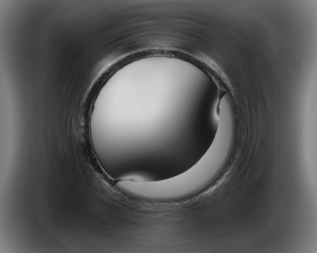 X0000086230926200704191756