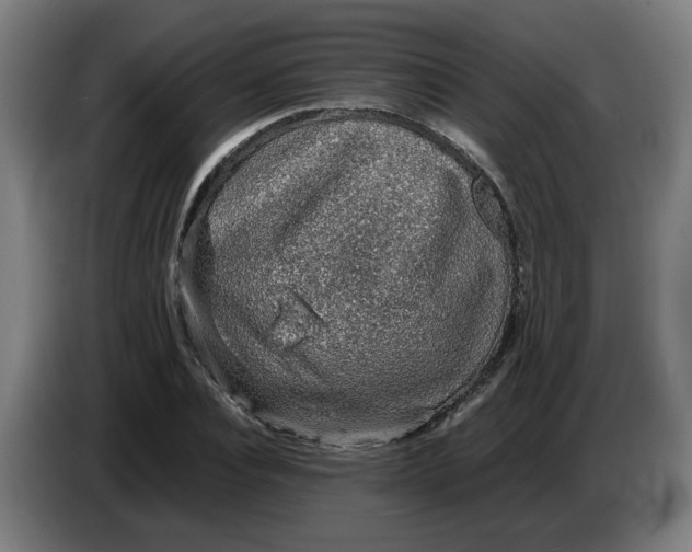 X0000086230928200704191756