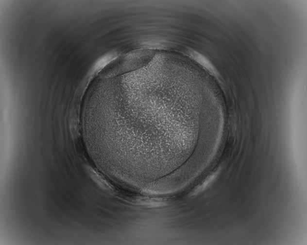 X0000086230930200704191756