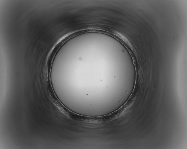 X0000086230931200704191756