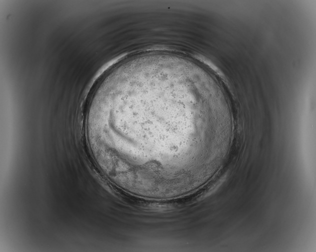 X0000086230933200704191756