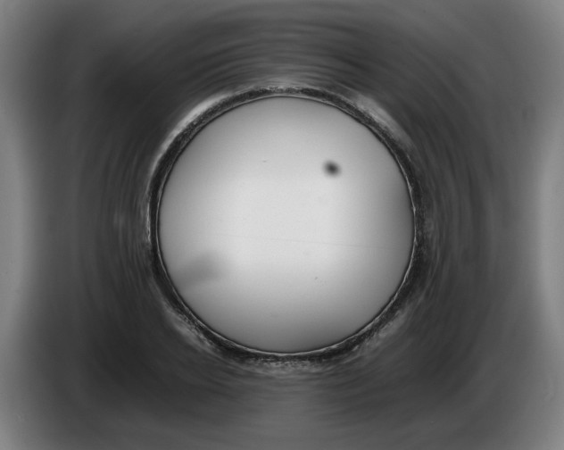 X0000086230934200704191756