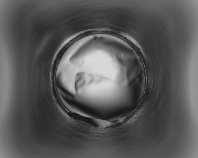 X0000086230935200704191756